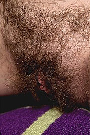 Unshaven Crotch Shot Up Close